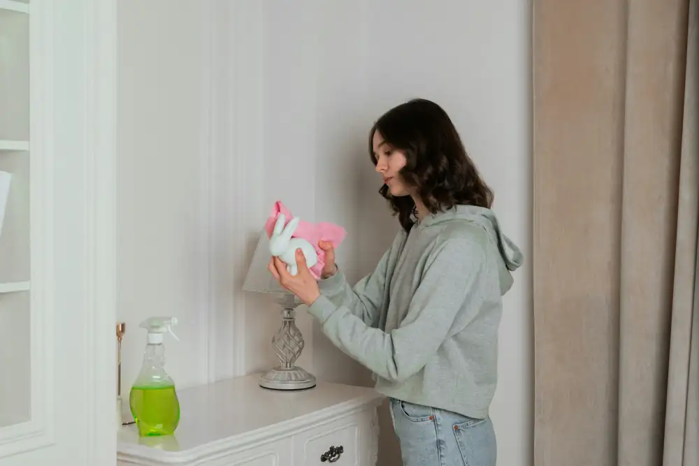 Cleaner dusting a shelf in a bright home